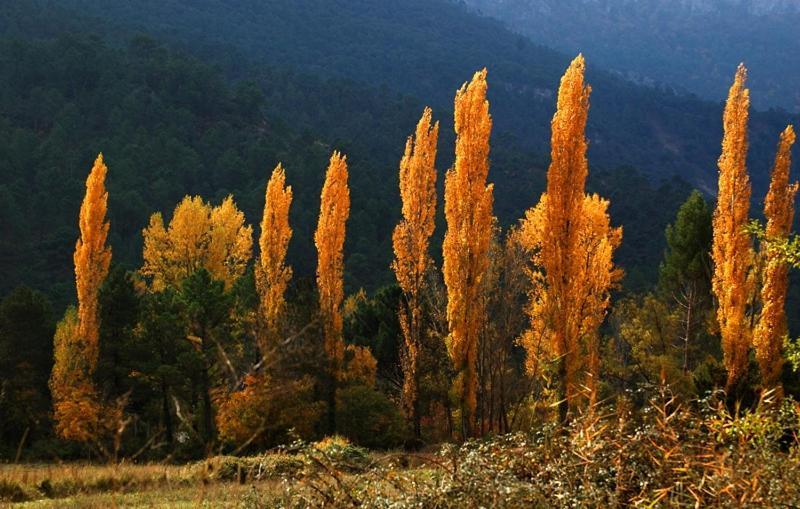 Casa Rural Nacimiento Rio Mundo Риопар Экстерьер фото